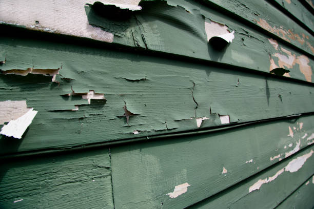Best Property Management Cleanouts  in Murray, KY
